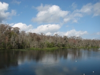 Wakulla Springs